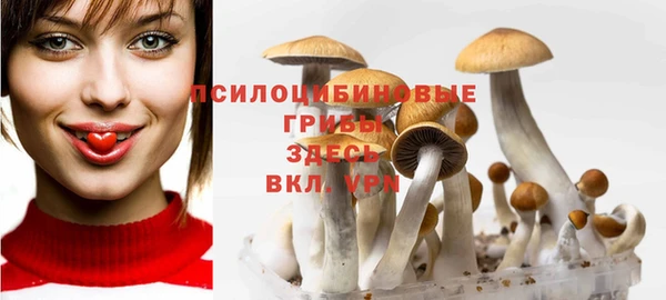 альфа пвп Вяземский