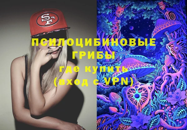 бошки Вязьма