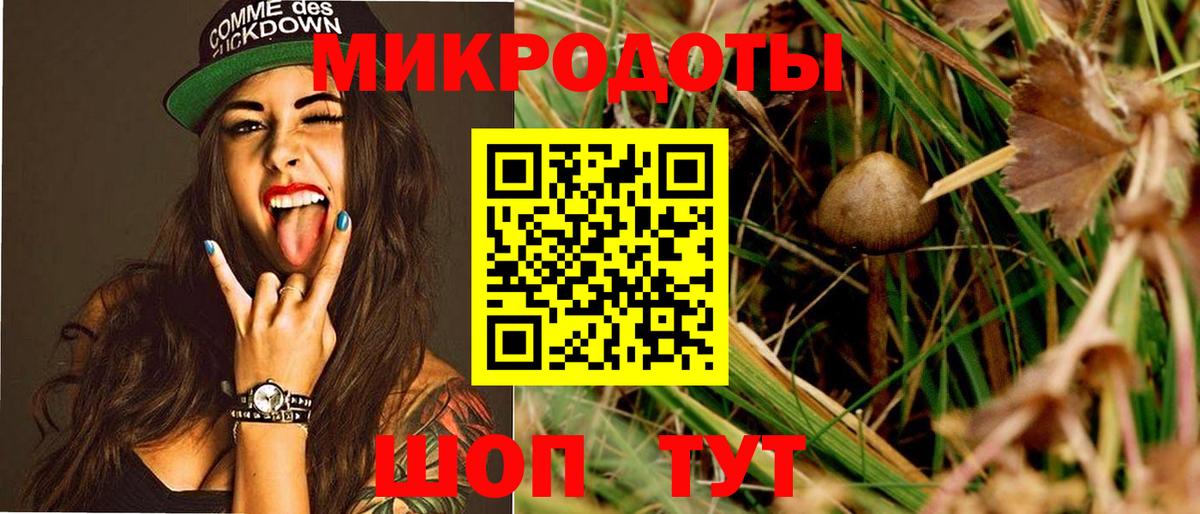 где можно купить наркотик  Вход с VPN  Псилоцибиновые грибы мухоморы  Камышин  Галлюциногенные грибы Magic Shrooms 