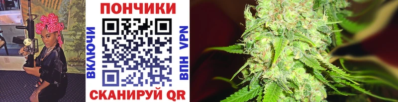 MEGA как зайти  Камышин  Каннабис White Widow 